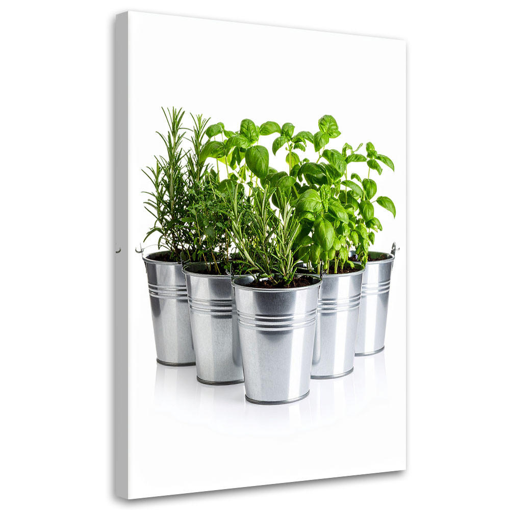 LEINWANDBILD Kräuter Gewürze Pflanzen 60x90cm - Grün, Textil (60/90cm) - Feeby