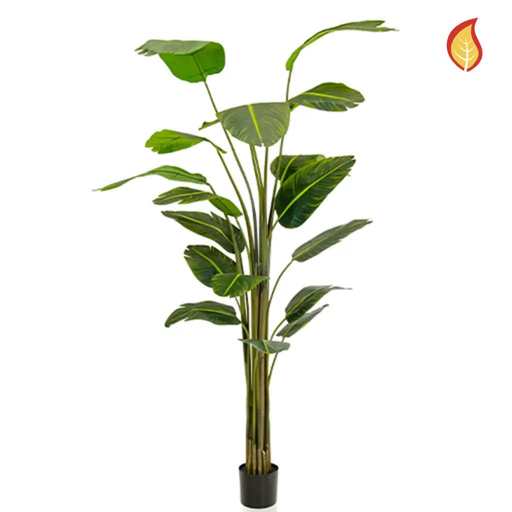 KUNSTBAUM Künstliche Strelitzia - Zita 240 cm - Grün, Kunststoff (240cm) - aplanta
