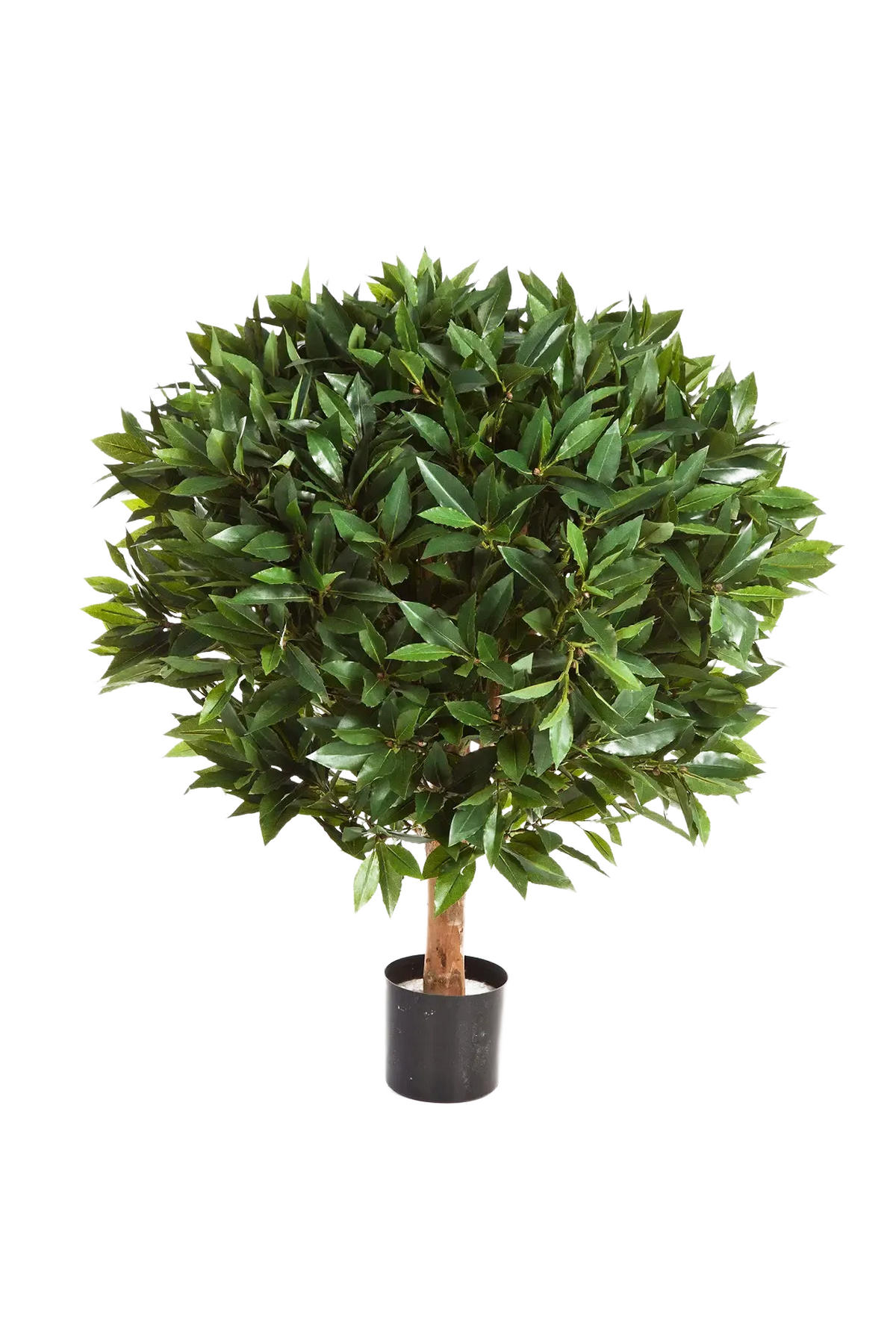 LORBEER Künstlicher Lorbeer - Rosa 55 cm - Grün, Kunststoff (55cm) - aplanta