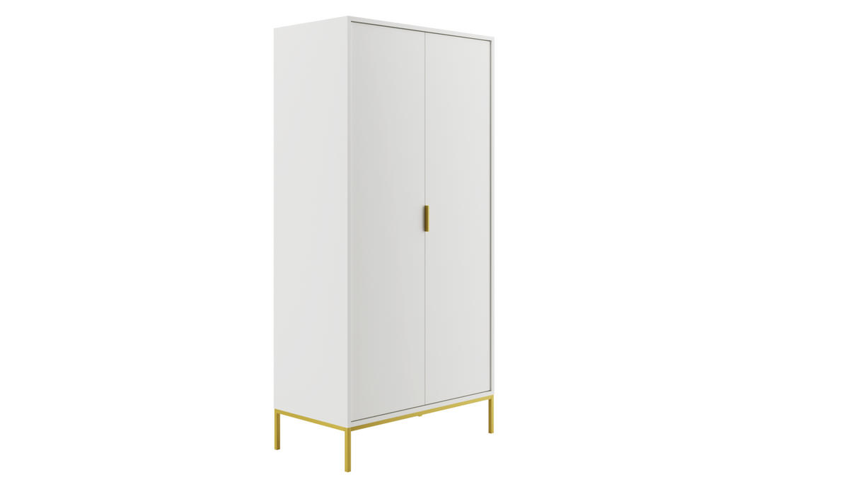 DREHTÜRENSCHRANK Austin - Weiß, Holzwerkstoff (55/205/100cm) - RAUMHIRSCH FURNITURE