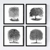 POSTER Set mit 4 Blättern der Bäume Weiden weiß 30x30 cm Rahmenlos - Klar, Papier (30/3cm) - Nacnic