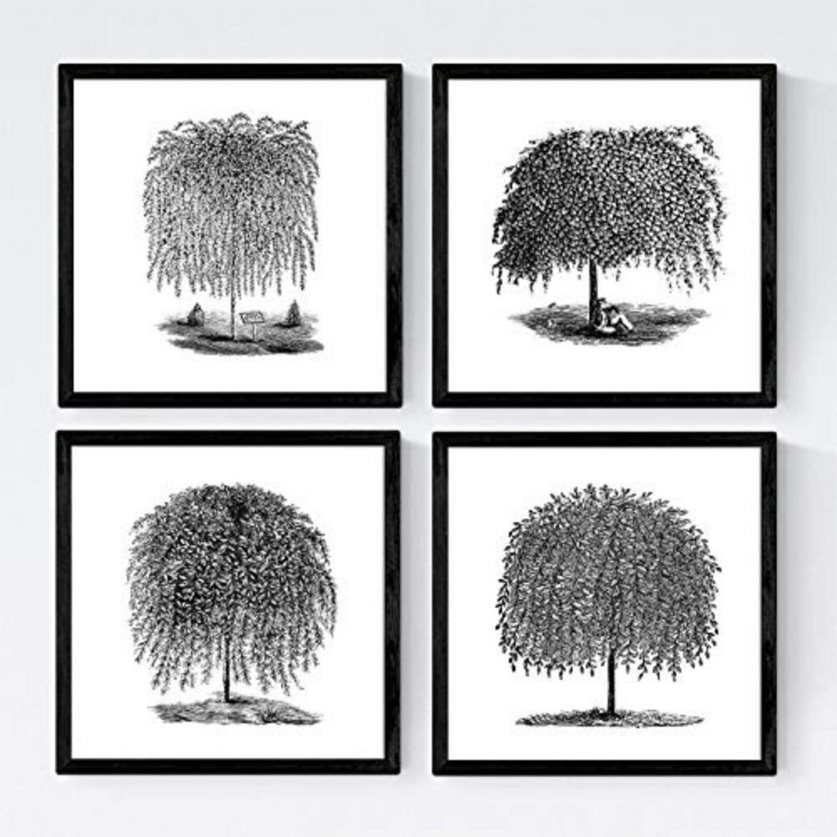 POSTER Set mit 4 Blättern der Bäume Weiden weiß 20x20cm Rahmenlos - Klar, Papier (20/3cm) - Nacnic