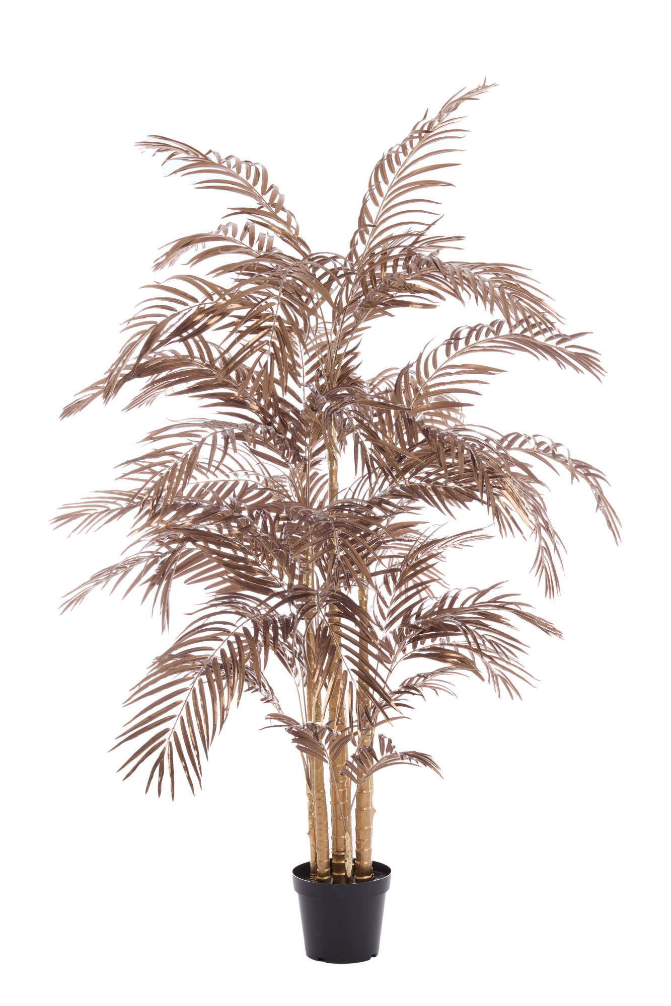 TOPF Palme Bronze 198/160/198 cm - Bronzefarben, Kunststoff (198cm) - Light & Living
