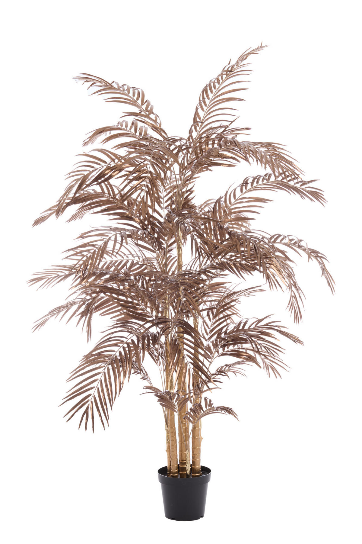 TOPF Palme Bronze 198/160/198 cm - Bronzefarben, Kunststoff (198cm) - Light & Living