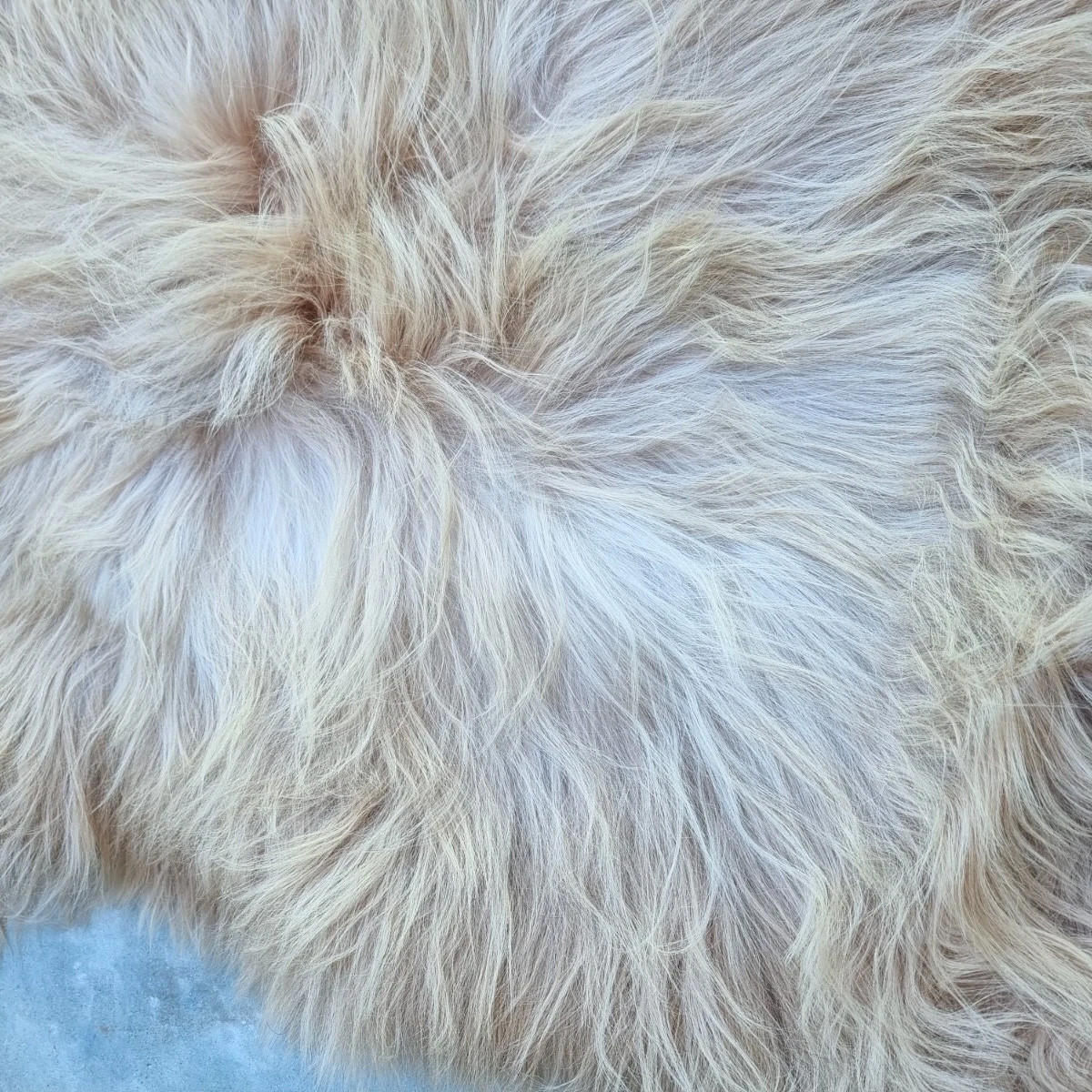 SCHAFFELL Langhaar skandinavisch weich chromfrei Cappuccino ca. 115 cm - Cappuccino, Fell (65/115cm) - Provellus