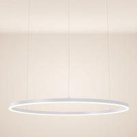 LED-HÄNGELEUCHTE Ring Direkt/Indirekt 5m Weiß Ø 100cm - Weiß, Metall (100/100/3.3cm) - s.luce