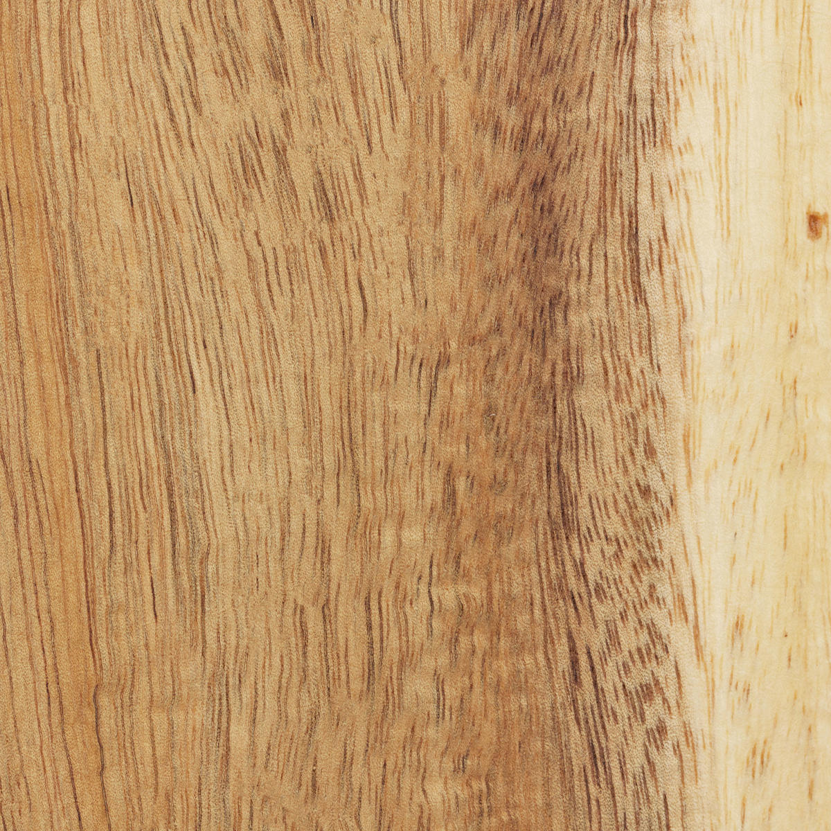 SCHMINKAUFSATZ - Multicolor, Glas/Holz (19/34/10.5cm) - Relaxdays