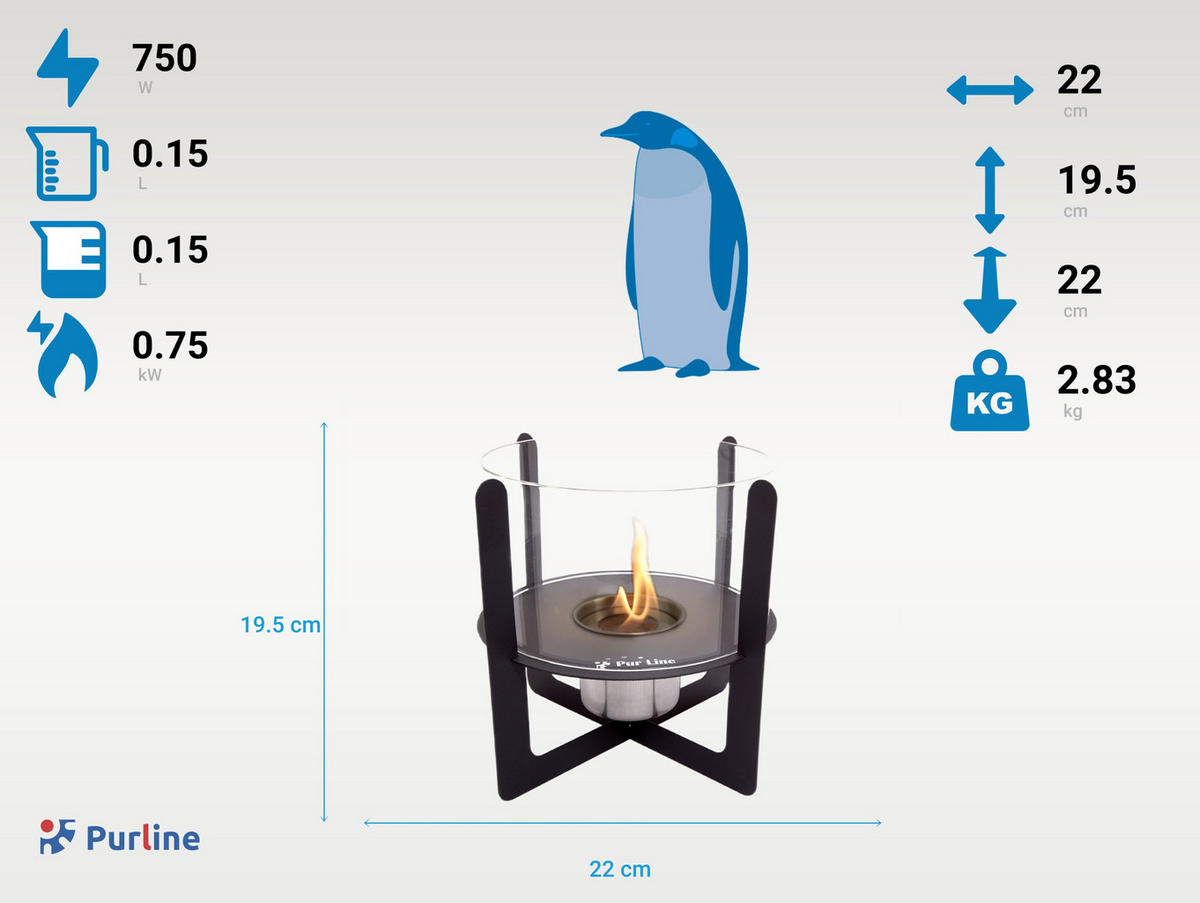 BIOETHANOL-KAMIN Schwarz Tischmodell inklusive 0.15 L Brennblock - Schwarz, Glas (22/20/22cm) - Purline