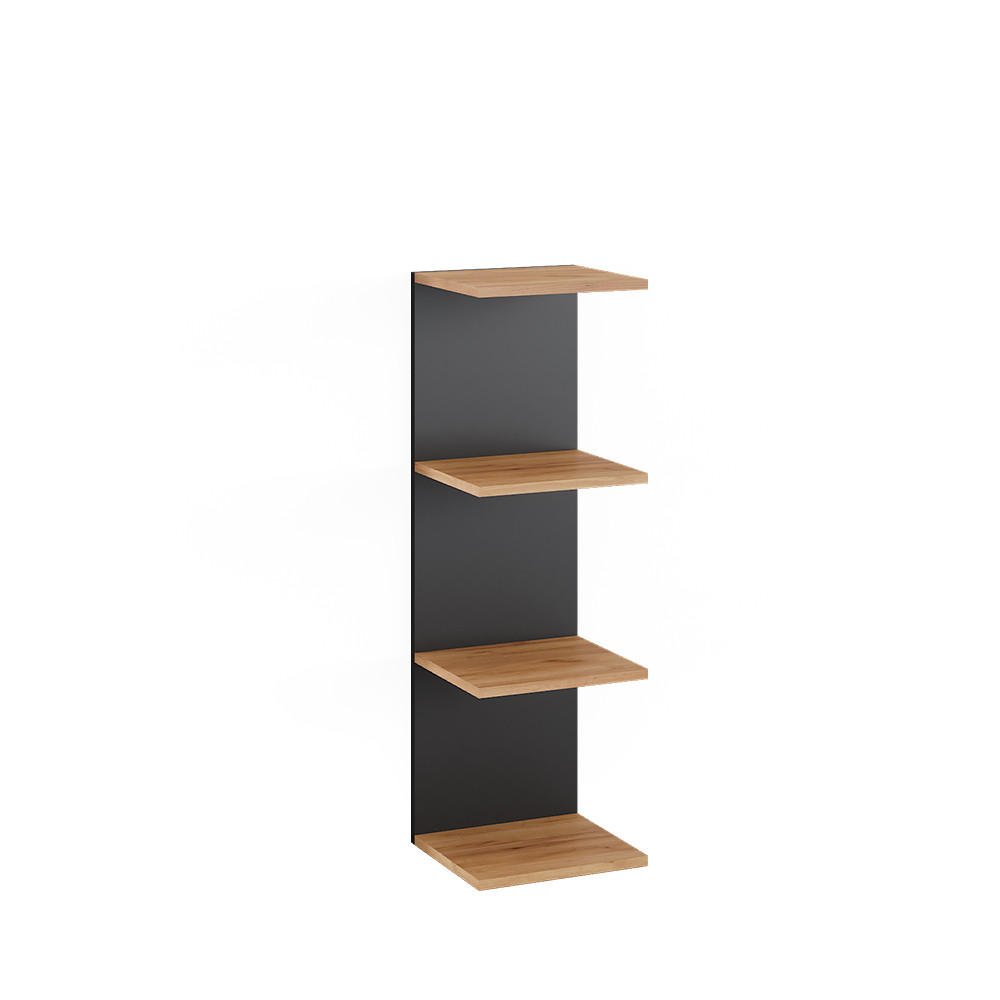 WANDREGAL Paolo Anthrazit 30 x 95 cm - Anthrazit/Eiche Wotan, Holzwerkstoff (30/95/28cm) - Vicco