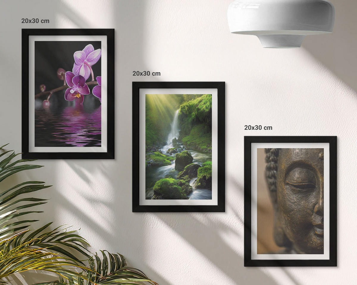 WANDBILDER 3er-Set - 20x30 cm Schwarzer Rahmen - Blumen, Wasserfall, Buddha-Felsen, Zen - Schwarz, Kunststoff (20/30cm) - ArtPrintCave
