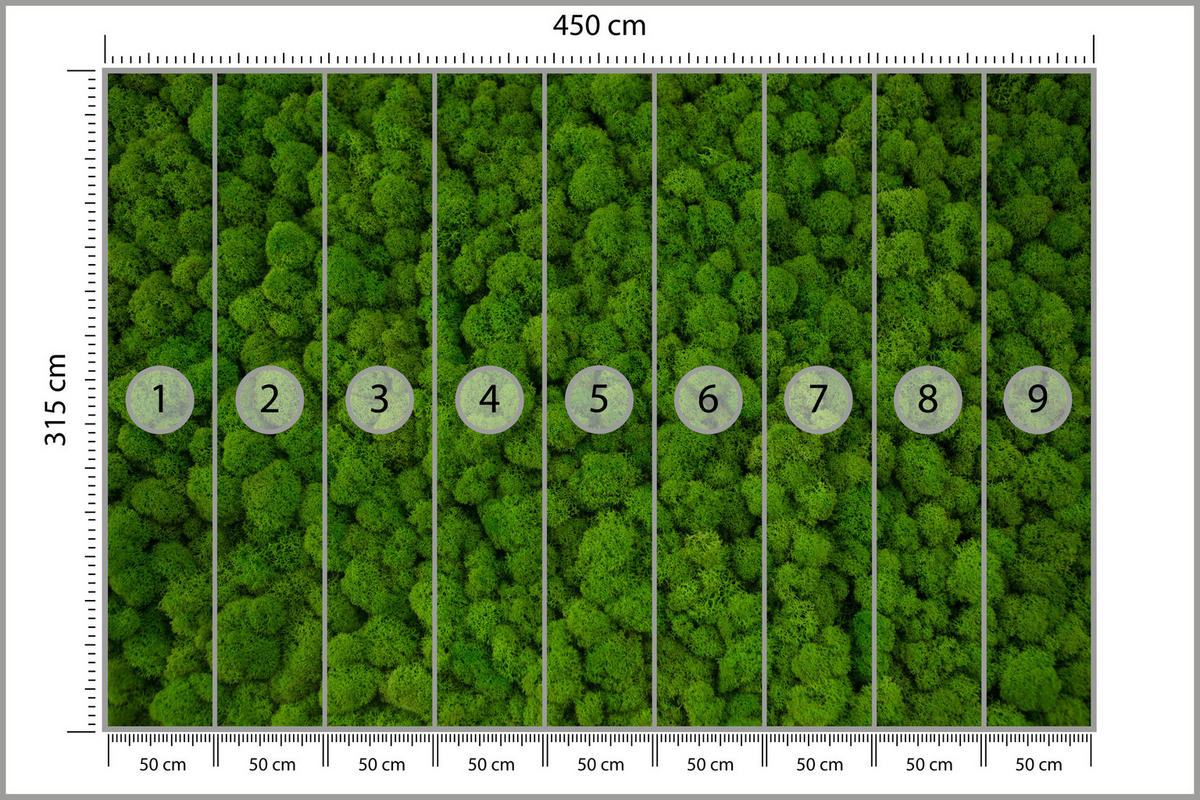 FOTOTAPETE für Jugendzimmer Dekorativer Grüner Moos Modern 450x315 - Grün, Papier (450/315cm) - Muralo
