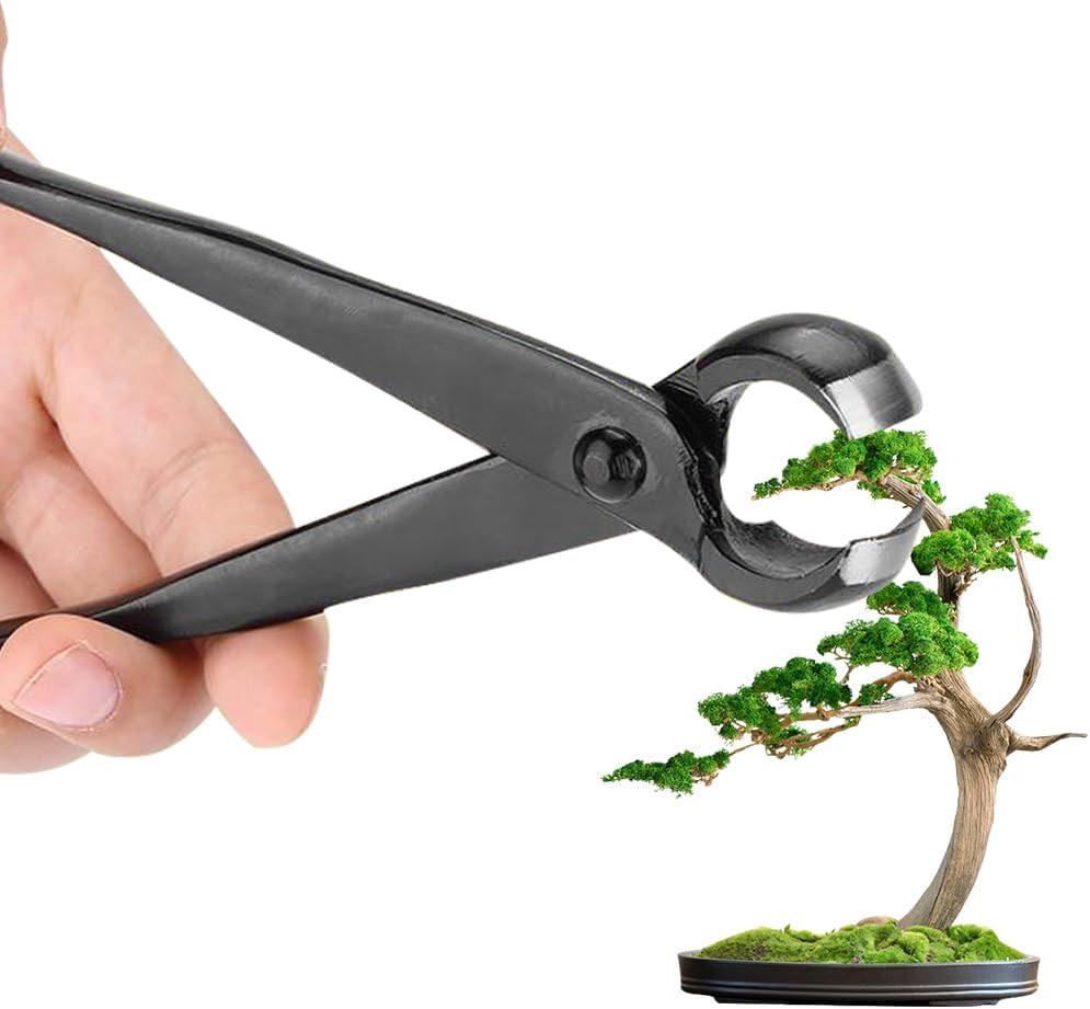 ZANGE – 210 mm – für präzise Schnittarbeiten, geeignet zum Beschneiden kleiner Äste. - Schwarz, Metall (21/1/1cm) - DCA