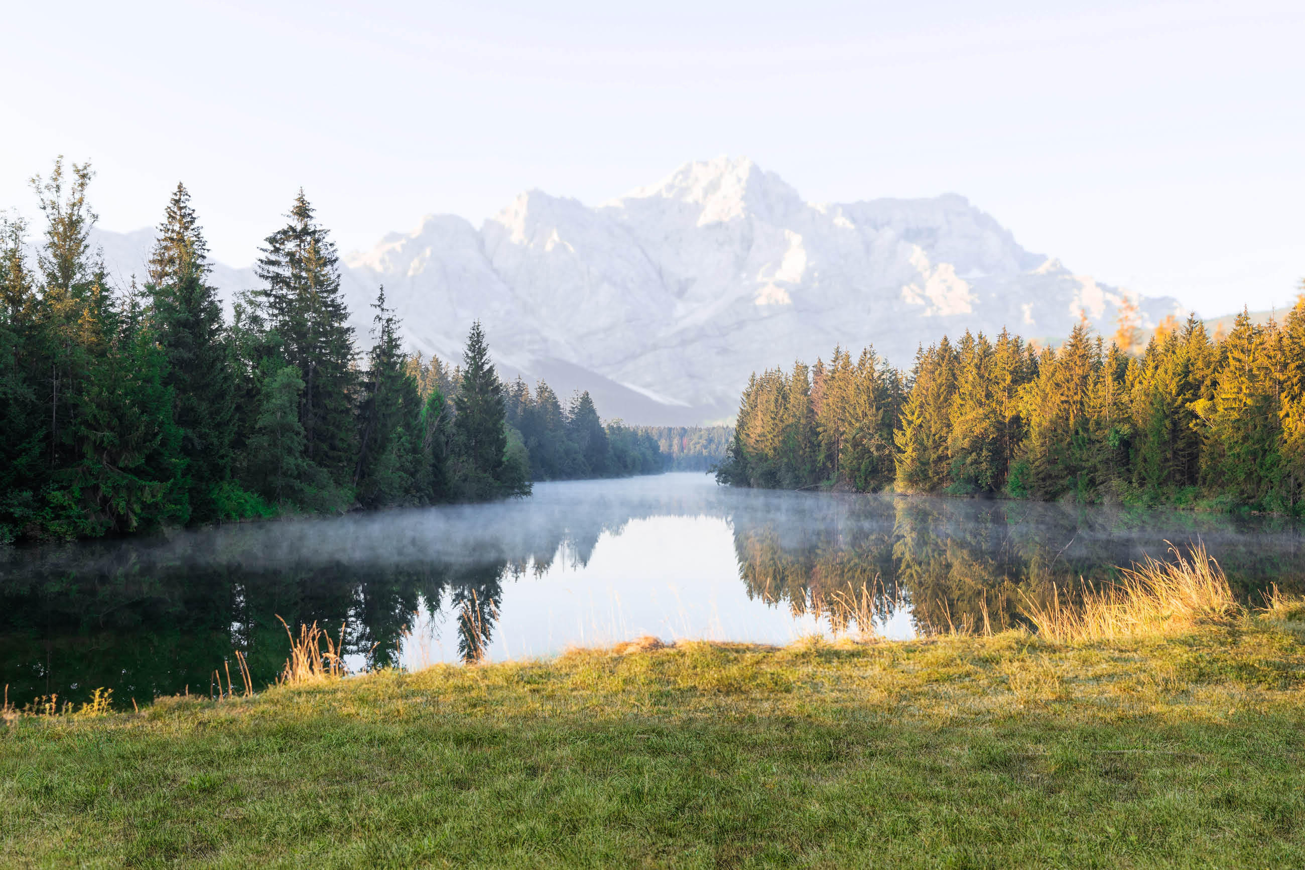 Ruhige Naturkulisse mit klarer Waldlandschaft und See, in dem sich die umliegenden Berge spiegeln – stimmungsvolles Bildmotiv zum Thema Nachhaltigkeit.
