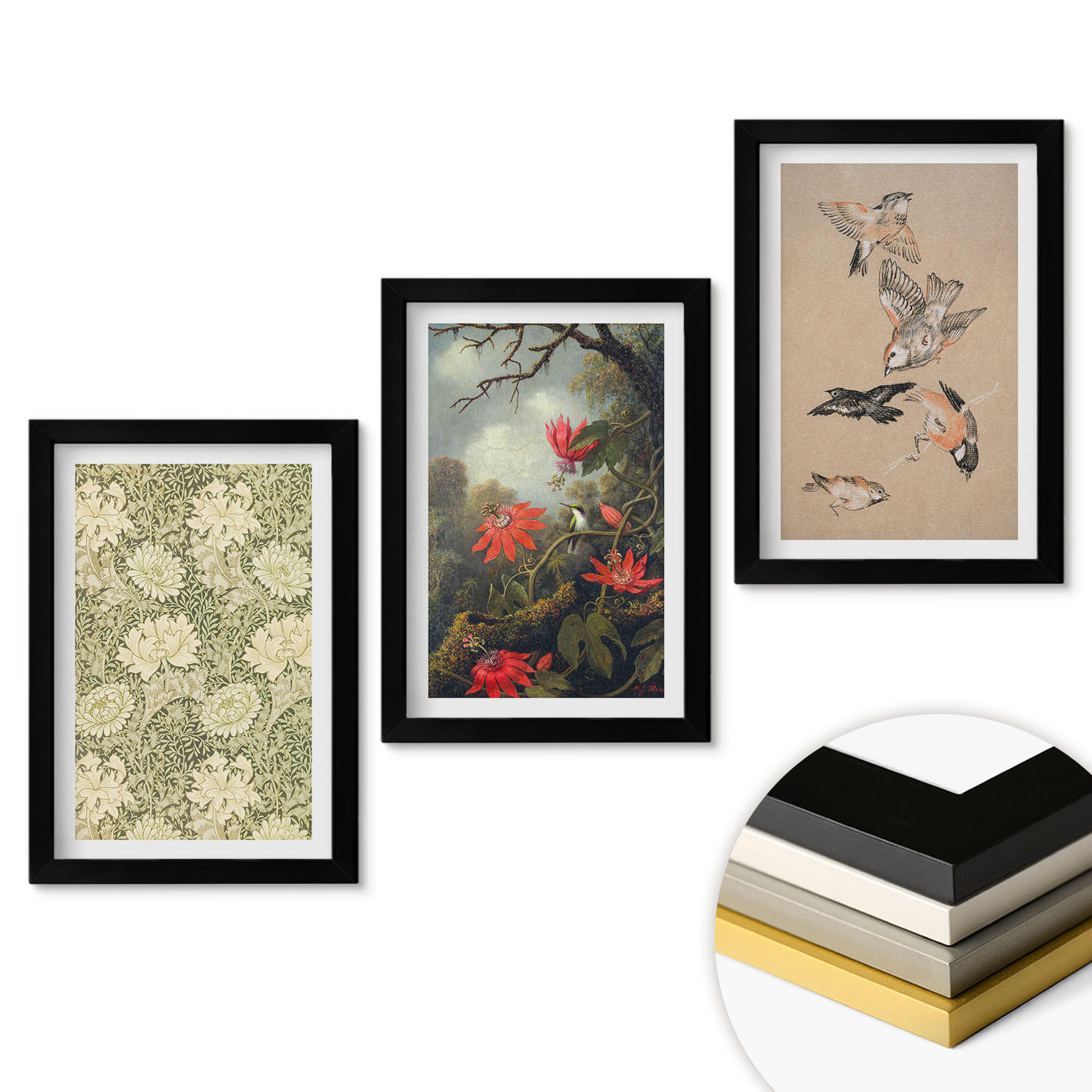 WANDBILDER 3er-Set - 20x30 cm Schwarzer Rahmen - Blumen, Vögel, Natur - Schwarz, Kunststoff (20/30cm) - ArtPrintCave