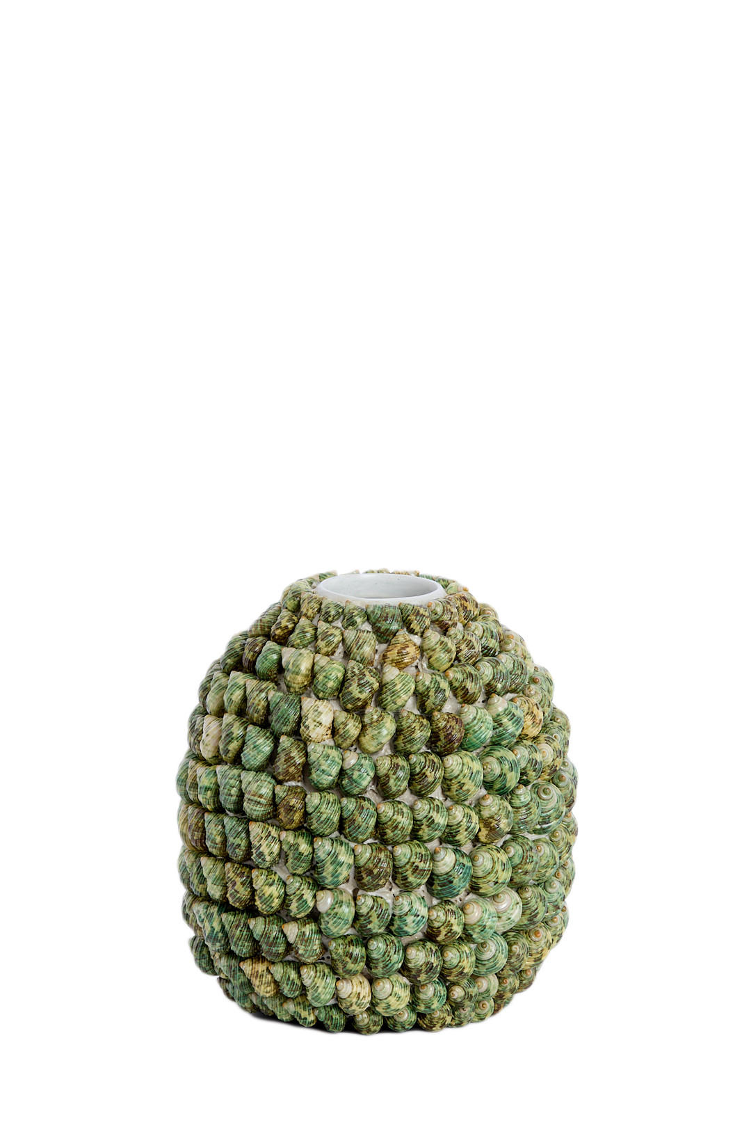 VAZE Shell Grün 20.5/20.5/21.5 cm - Grün, Holz (21.5cm) - Light & Living