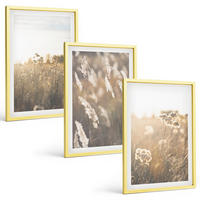 BILDER SET 3er Set - 40x60 cm Goldrahmen - Landschaftsgrasblumen Wärme - Goldfarben, Kunststoff (40/60cm) - TULUP