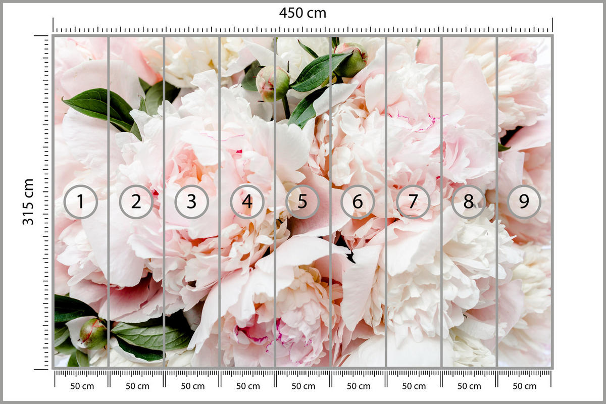 FOTOTAPETA Pre Spálňu Ružové Jemné Pivonky Príroda 450 x 315 cm - biela/zelená, papier (450/315cm) - Muralo
