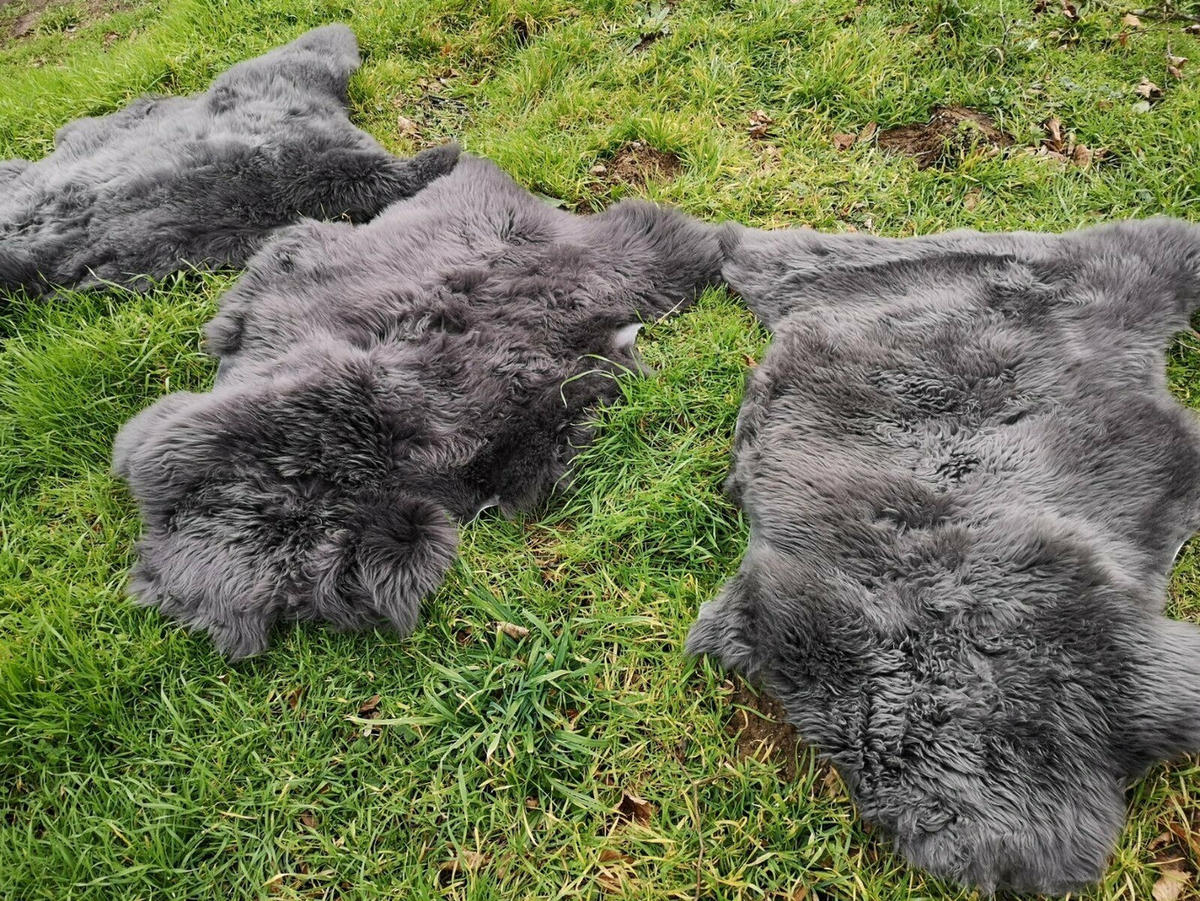 SCHAFFELL Lammfell Dunkelgrau, ca. 130 cm - Dunkelgrau/Grau, Fell (80/130cm) - Provellus