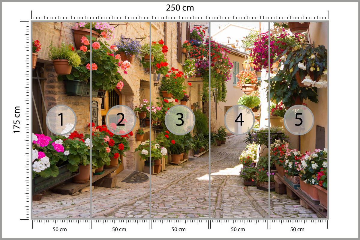 FOTOTAPETE für Wohnzimmer Italienische Steinstraße Blumen Pflanzen 250x175 - Beige/Rot, Papier (250/175cm) - Muralo