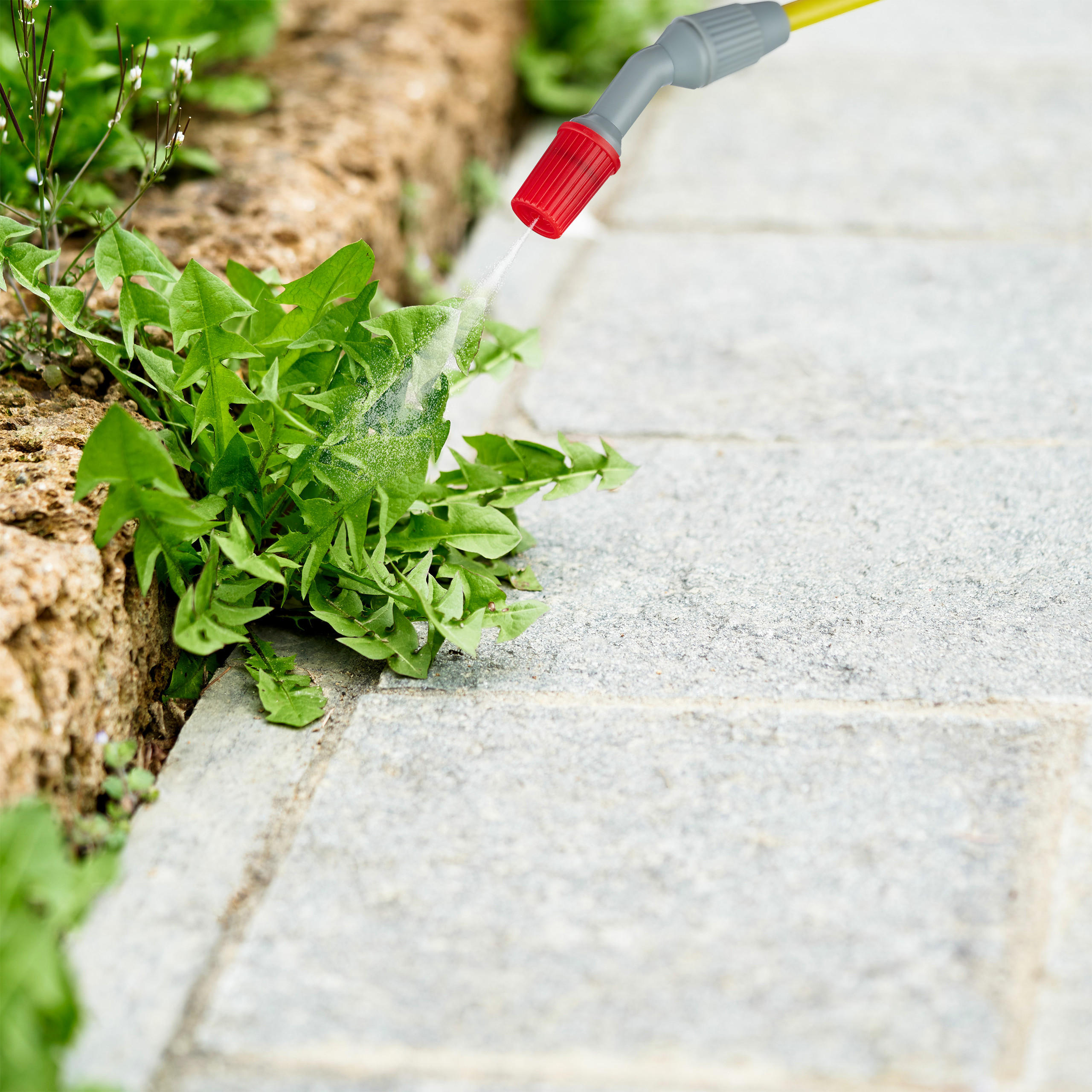 DRUCKSPRÜHER - Weiß, Kunststoff (65/45/17.5cm) - Relaxdays