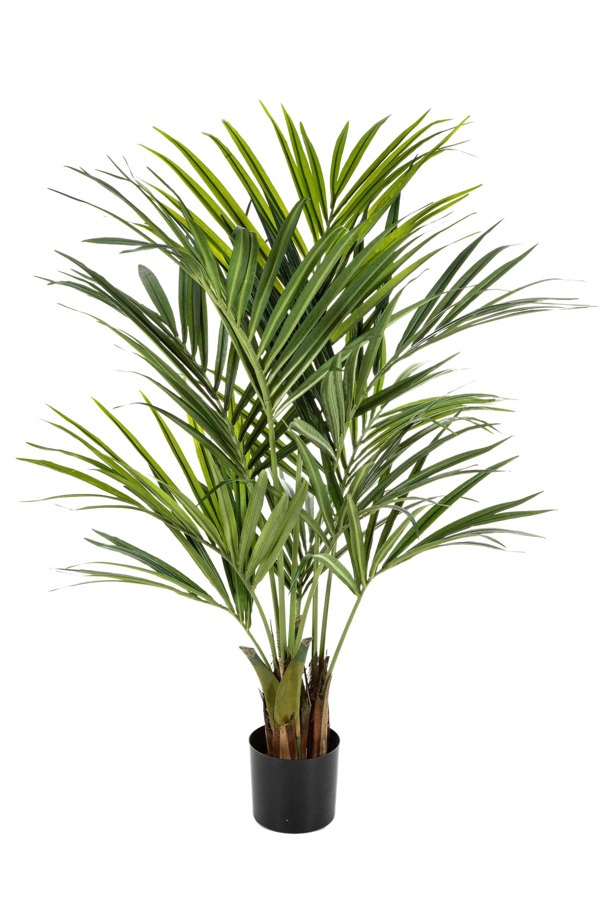 PALMEN Künstliche Kentia Palme - Cecilia 140 cm - Grün, Kunststoff (140cm) - aplanta