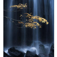FOTOTAPETE Wasserfall 375 x 270 cm - Grau, Papier (375/270cm) - Sanders & Sanders