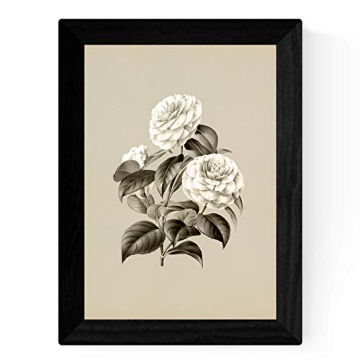 POSTER Set mit 4 Botanische Jahrgang Hintergrund Rosa Blumen A3 Rahmenlos - Klar, Papier (29.7/3cm) - Nacnic