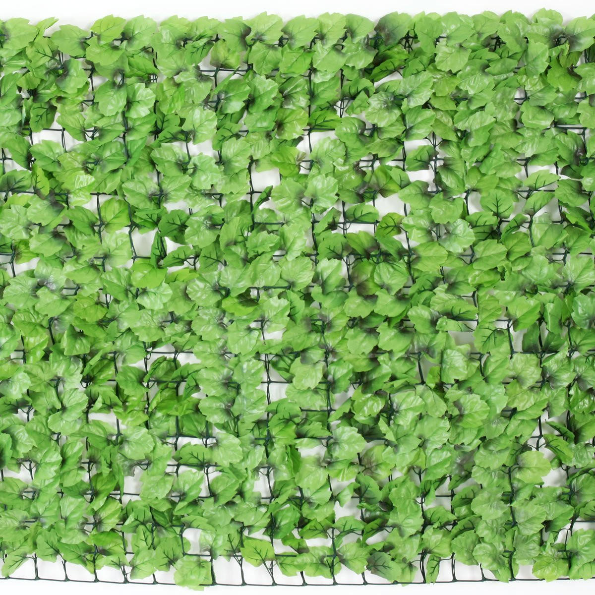 BALKONSICHTSCHUTZ 150x300x1cm Zaun Blatt hell - Grün, Kunststoff (300/150cm) - PROREGAL