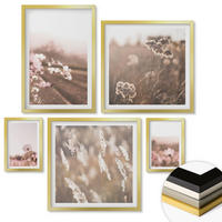 WANDBILDER 5er Set - 50x50 cm & 20x30 cm & 40x60 cm Goldrahmen - Wildblumen auf den Wiesen im Sommer - Goldfarben, Kunststoff (40/60cm) - ArtPrintCave