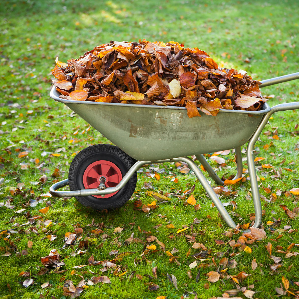 2xSCHUBKARRENRAD - Multicolor, Kunststoff (22/22/7.5cm) - Relaxdays