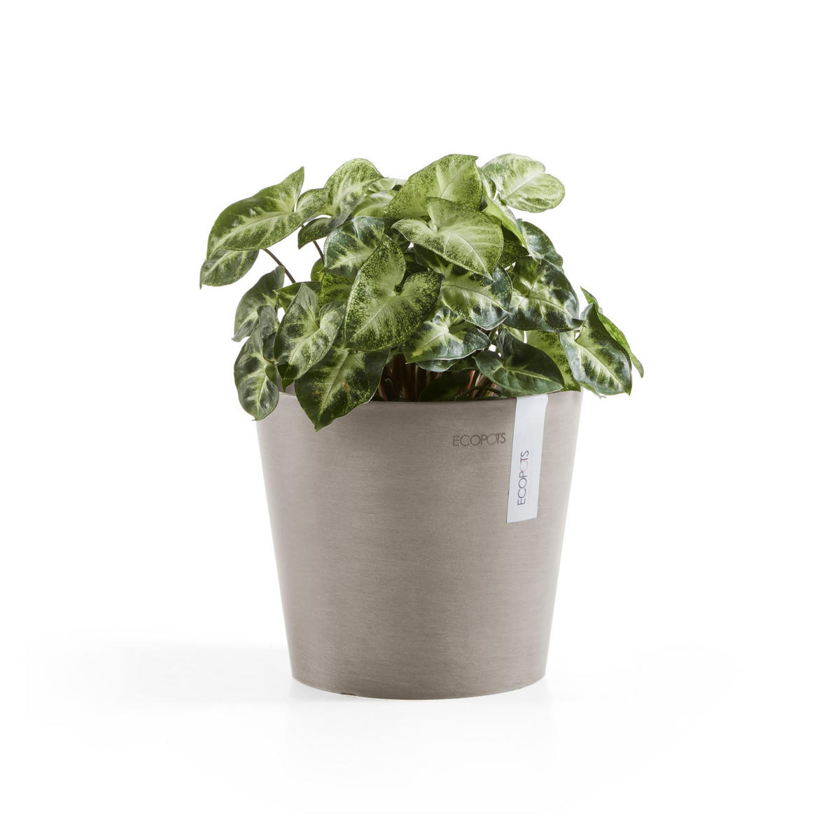 BLUMENTOPF Amsterdam 17/14,7 cm Taupe - Taupe, Kunststoff (17/14.7cm) - Ecopots