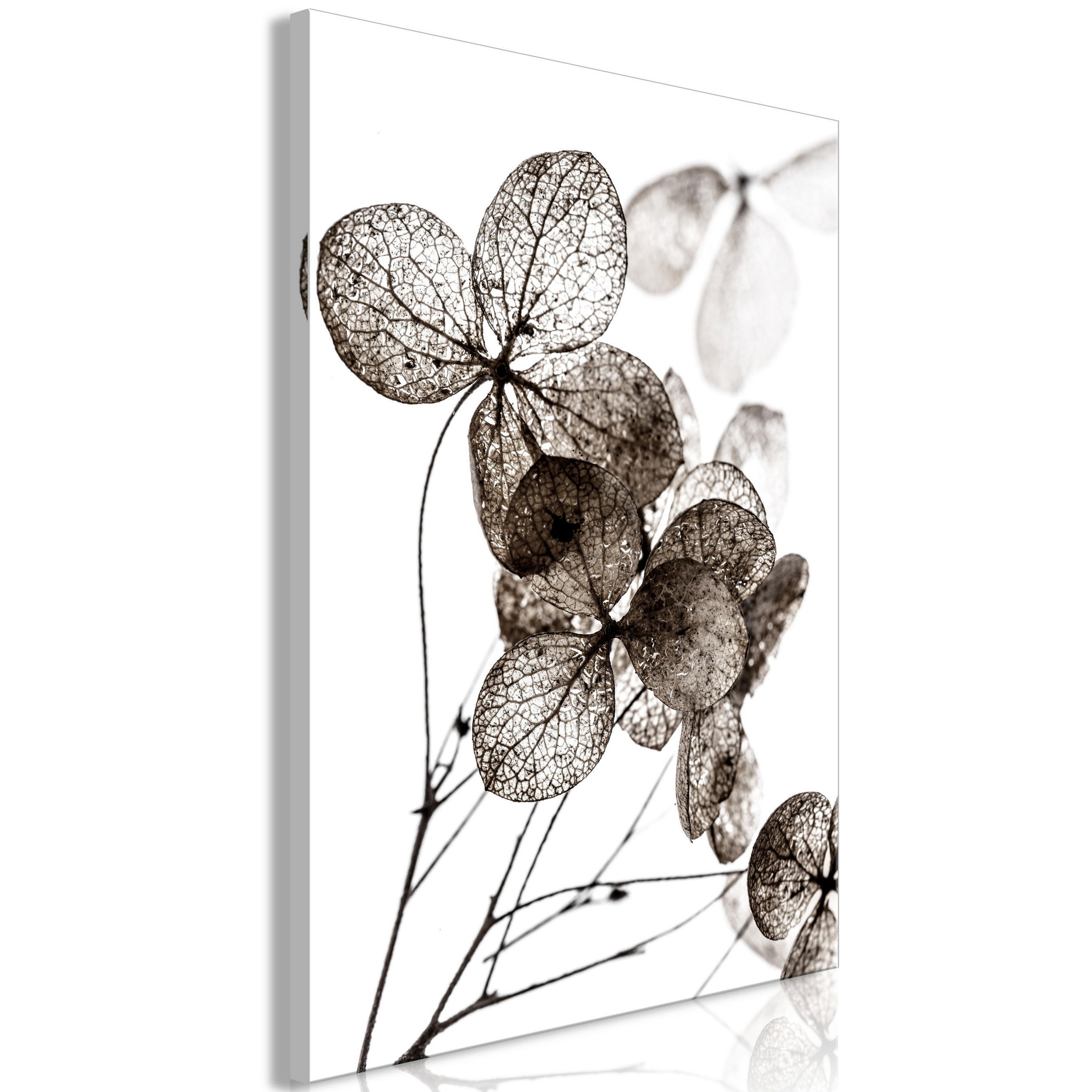 KUNSTDRUCK Braun 40/60 cm - Weiß/Braun, Textil (40/60cm) - KUNSTLOFT