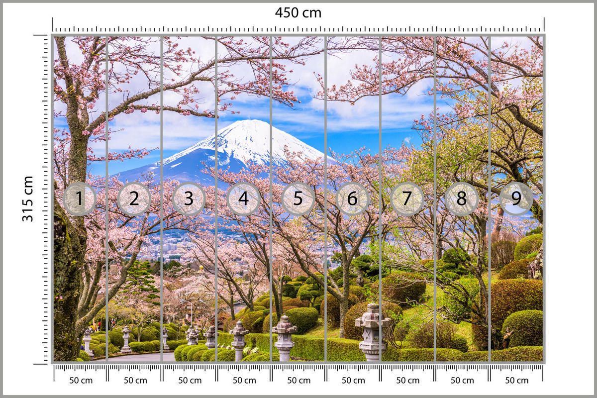 FOTOTAPETE für Wohnzimmer Peace Park Fuji View Kirschblüten 450x315 - Rosa/Braun, Papier (450/315cm) - Muralo