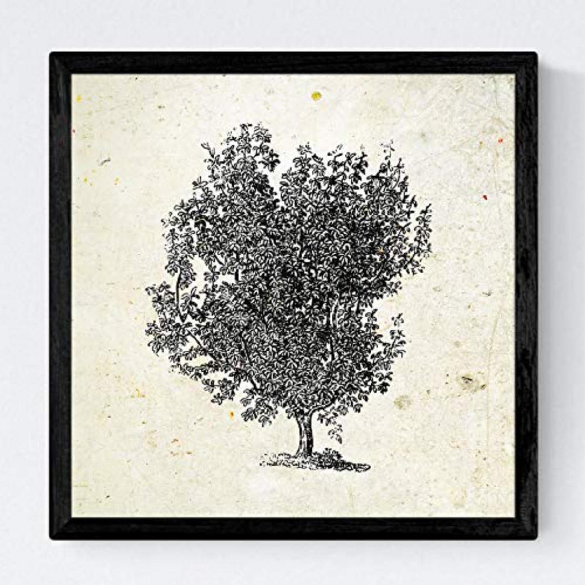 POSTER Set mit 4 Blättern der Baumstämme Jahrgang Hintergrund 30x30 cm Rahmenlos - Klar, Papier (30/3cm) - Nacnic