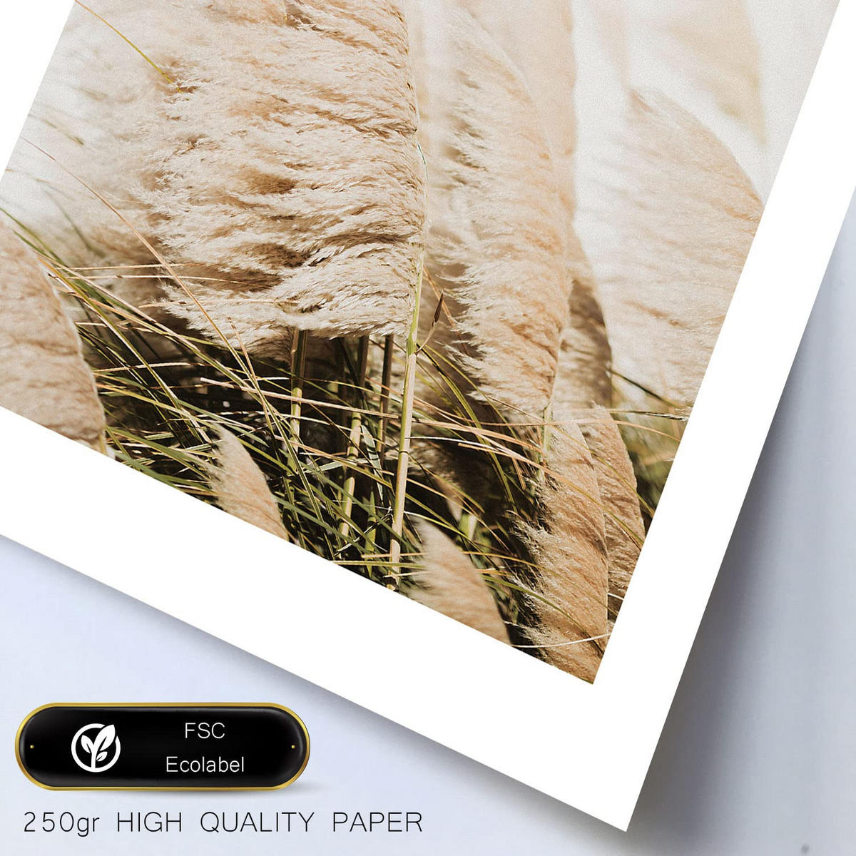 POSTER Set Mit 6 Matisse A3 & A4 Rahmenlos - Klar, Papier (29/3cm) - Nacnic