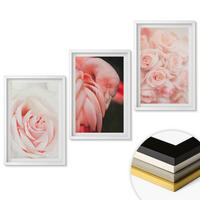 WANDBILDER 3er-Set - 40x60 cm Weißer Rahmen - Zartrosa Flamingos - Weiß, Kunststoff (40/60cm) - ArtPrintCave
