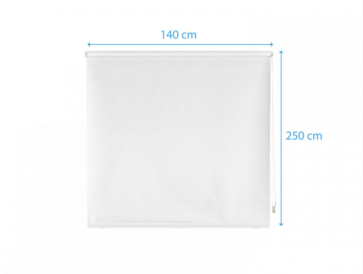 ROLLO Polyester Transluzent Weiß 140x250 - Weiß, Textil (140/250/1cm) - Purline