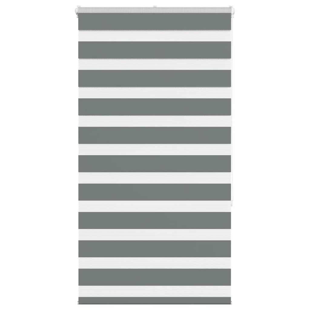 DOPPELROLLO 70/150 cm Stoffbreite 65,9 cm aus Polyester Dunkelgrau - Dunkelgrau, Textil (70/150cm) - vidaXL