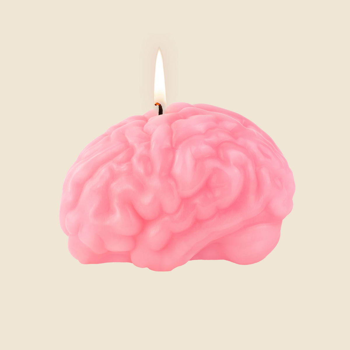 FIGURENKERZE Arts of Parts Brain, Paraffinwachs, Rosa, 10 cm - Rosa, Paraffin (11.5/10/15cm) - Donkey Products