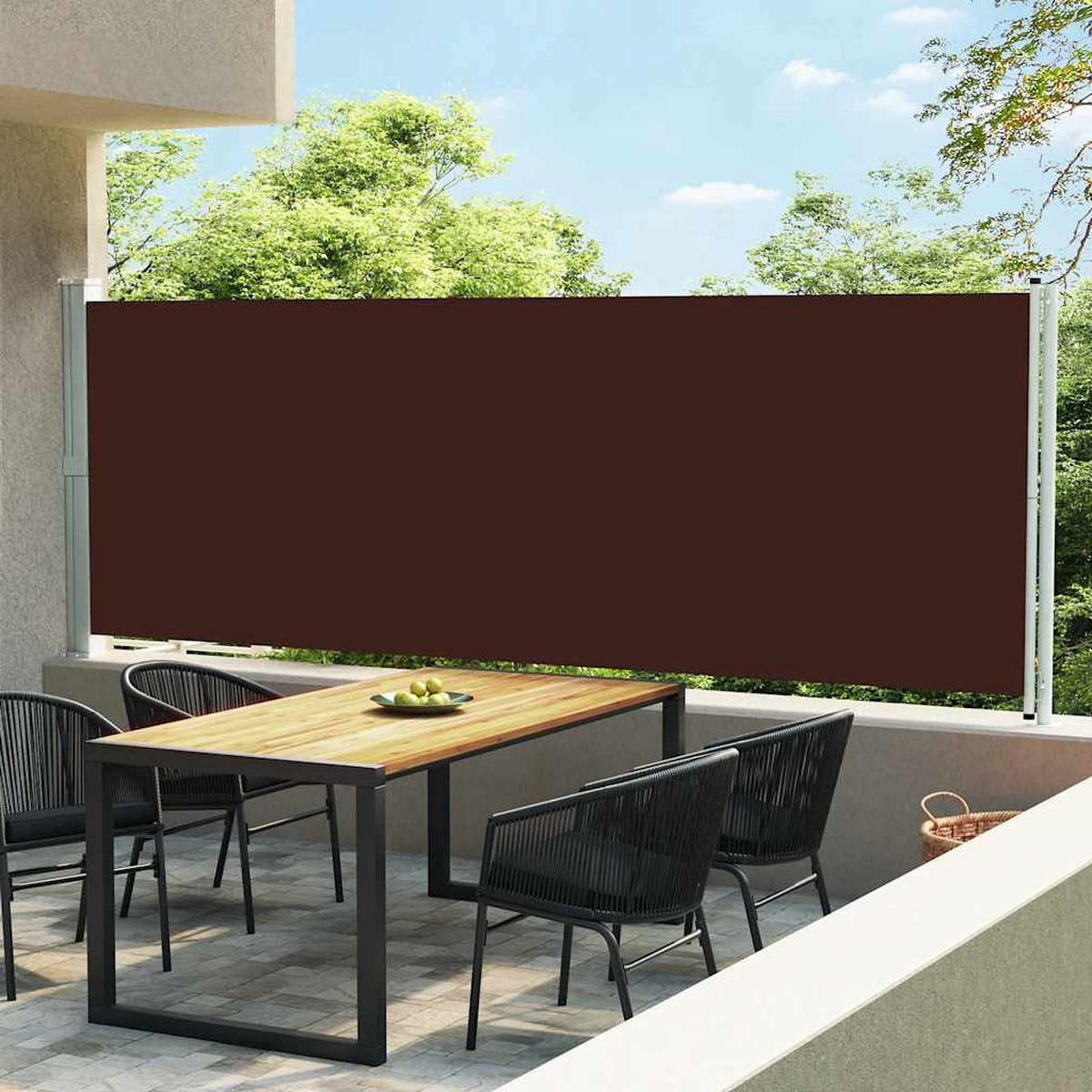 SEITENMARKISE Ausziehbar 600x160 cm Braun - Braun, Textil (600/160/600cm) - furnicato