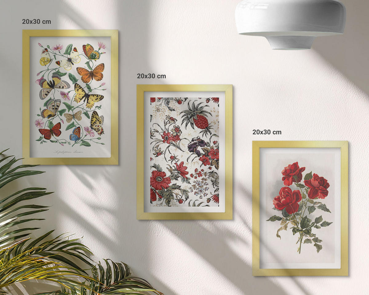 BILDER SET 3er Set - 20x30 cm Goldrahmen - Schmetterlinge, Blumen, rote Rosen - Goldfarben, Kunststoff (20/30cm) - TULUP