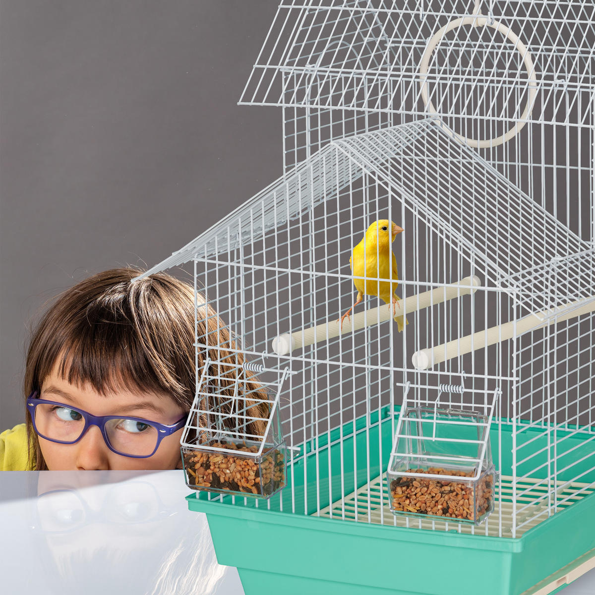 VOGELKÄFIG - Multicolor, Kunststoff/Metall (42.5/50/33.5cm) - Relaxdays