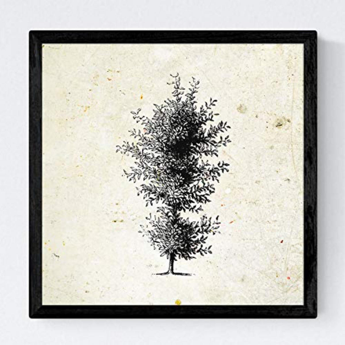 POSTER Set mit 4 Blättern der Bäume Zierbäume Jahrgang Hintergrund 20x20cm Rahmenlos - Klar, Papier (20/3cm) - Nacnic