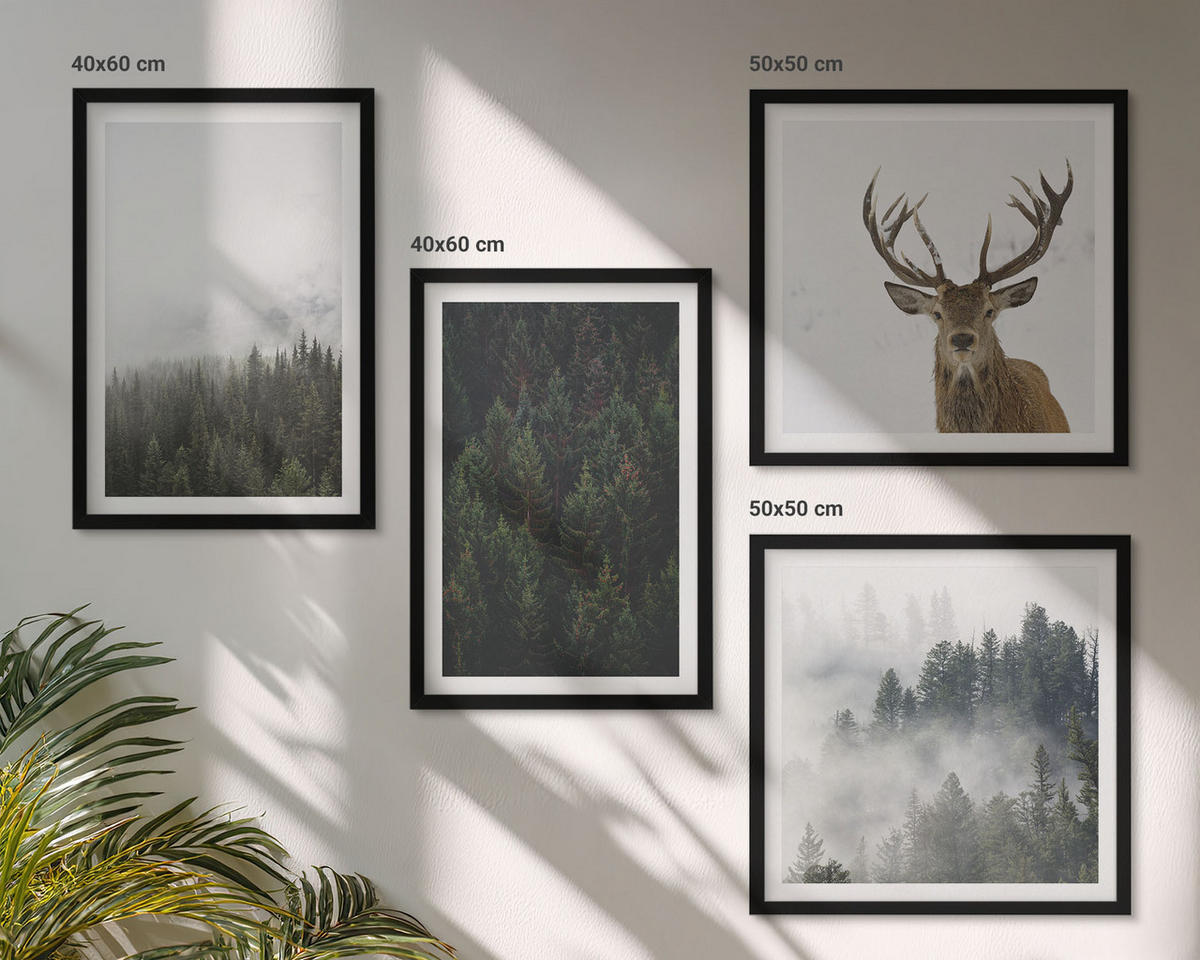WANDBILDER 4er-Set - 50x50 cm & 40x60 cm Schwarzer Rahmen - Grüne Wälder, neblige Landschaft - Schwarz, Kunststoff (50/50cm) - ArtPrintCave
