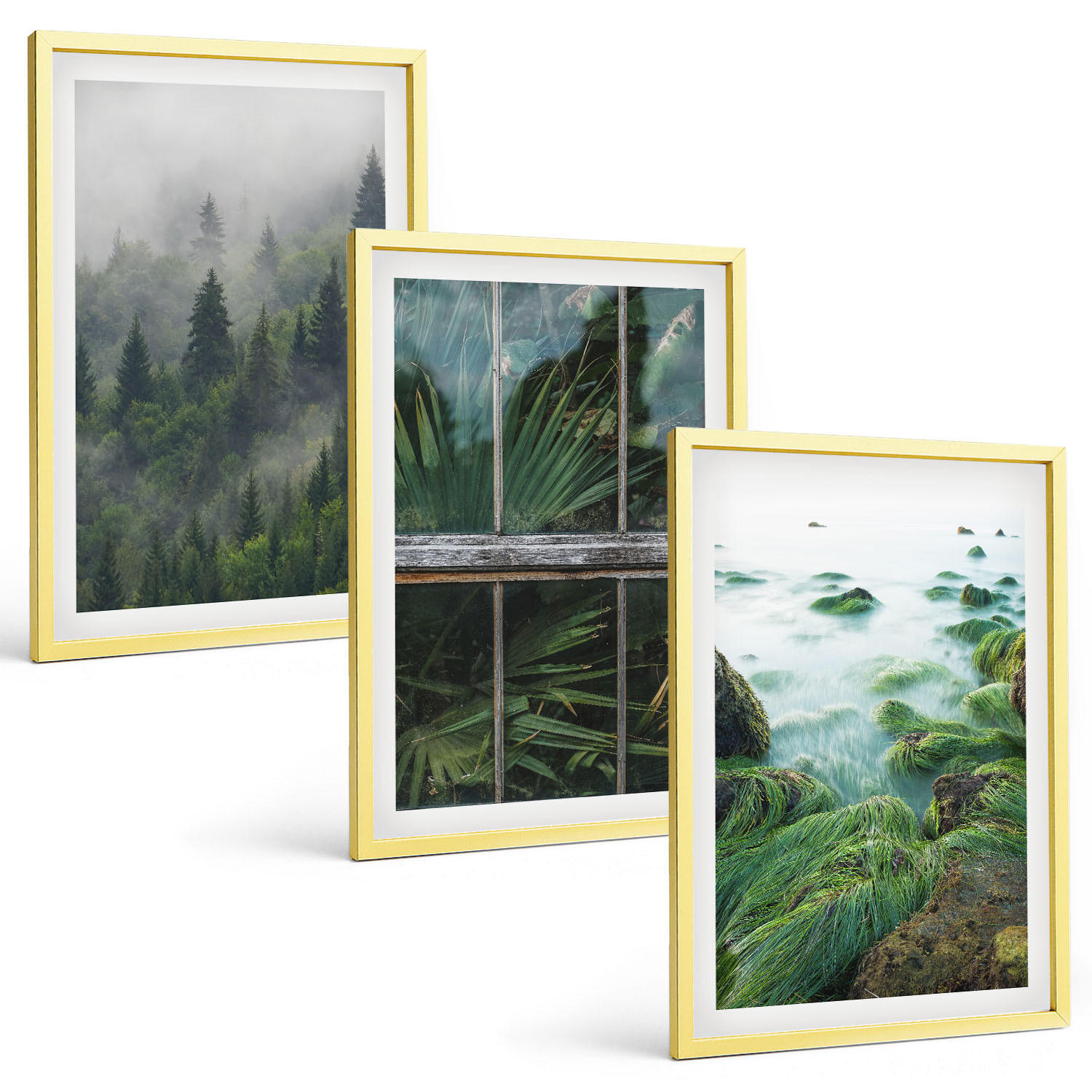 BILDER SET 3er Set - 40x60 cm Goldrahmen - Waldnebel, Flussufer, Gewächshaus - Goldfarben, Kunststoff (40/60cm) - TULUP