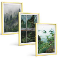 BILDER SET 3er Set - 40x60 cm Goldrahmen - Waldnebel, Flussufer, Gewächshaus - Goldfarben, Kunststoff (40/60cm) - TULUP