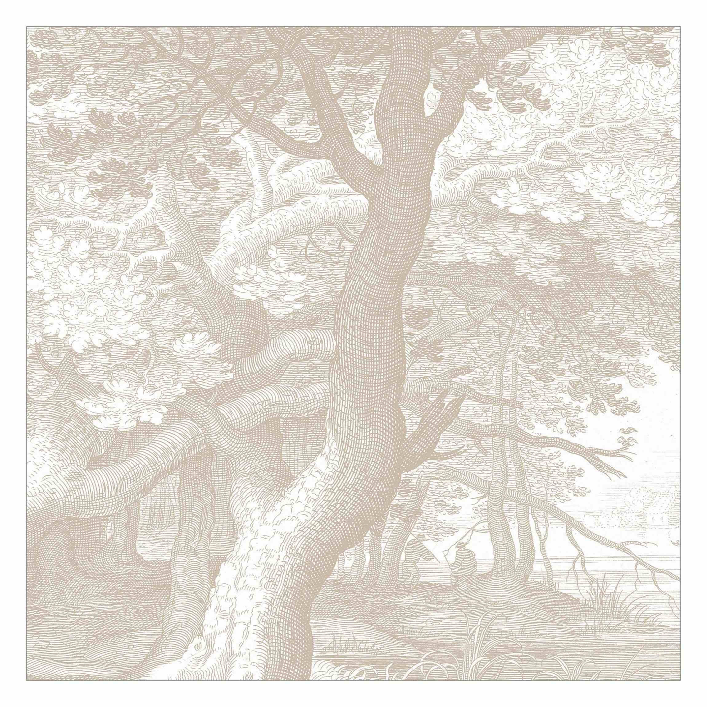 FOTOTAPETE Im Wald Kupferstich in Beige 288/288 cm - Eichefarben, Papier (288/288cm) - Bilderwelten