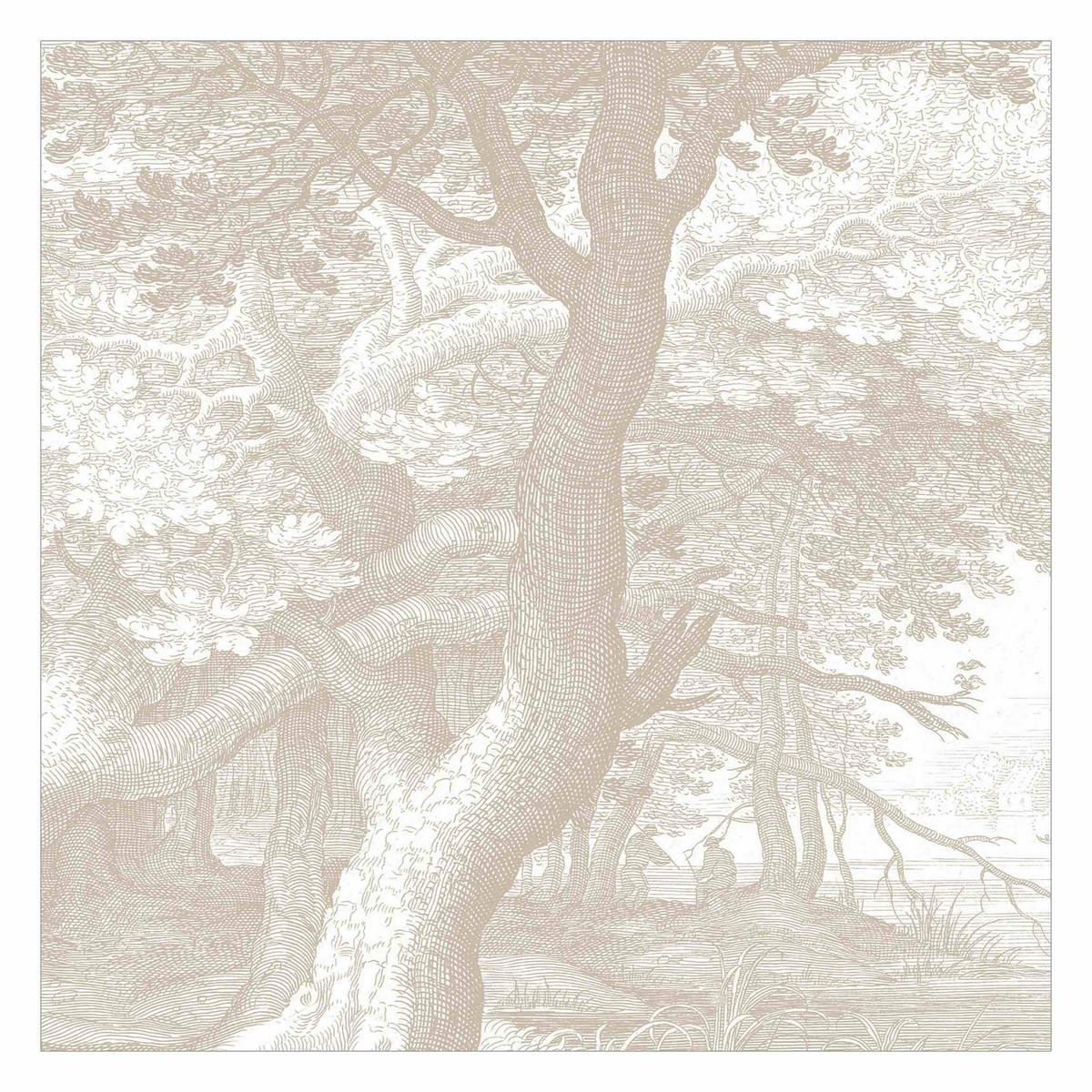 FOTOTAPETE Im Wald Kupferstich in Beige 288/288 cm - Eichefarben, Papier (288/288cm) - Bilderwelten