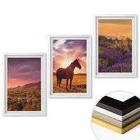 WANDBILDER 3er-Set - 40x60 cm Weißer Rahmen - Berglandschaft mit einem Pferd - Weiß, Kunststoff (40/60cm) - ArtPrintCave