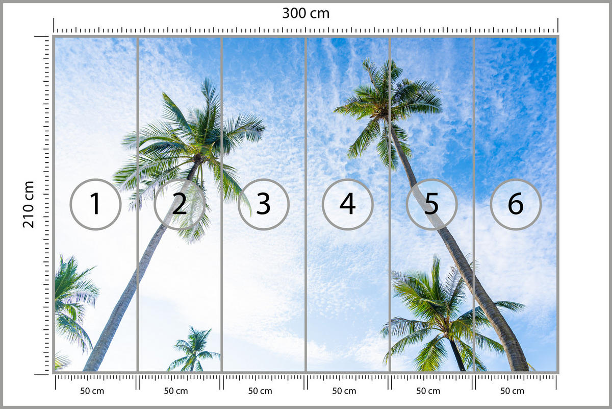 FOTOTAPETE für Badezimmer Palmen Kokos Himmel Untenblick 300x210 - Blau/Weiß, Papier (300/210cm) - Muralo
